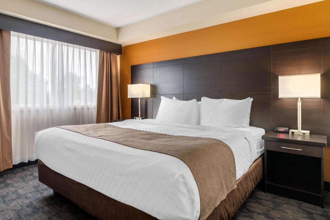 Quality Inn & Suites Bathurst Eksteriør bilde